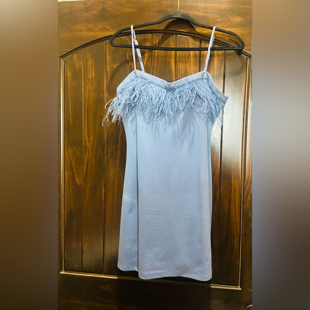 Baby blue dress with feathers